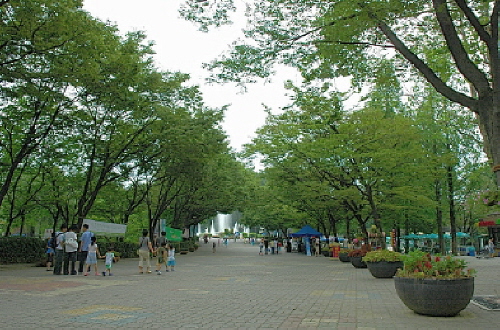 입구에 들어서자 관람하기 위해 찾은 많은 사람들과 저 멀리 시원한 분수가 보입니다. 